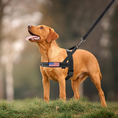 Vista 6 de Annchwool Arnés sin tirones para perro, con mango acolchado suave, tira reflectante a prueba de fugas y ajuste rápido para ajustar el arnés