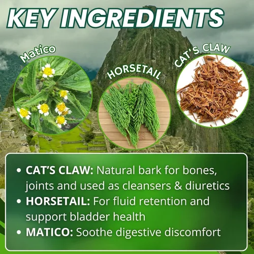 Vista 4 de Hanan Suplementos de próstata para hombres 100 cápsulas - Prostasan mezclado con Annatto, Humanpinta, garra de gato, cola de caballo y hierba