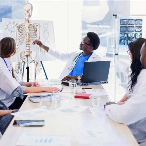 Vista 9 de Breesky - Modelo de esqueleto humano para anatomía, modelo de esqueleto humano médico de tamaño real con sistema nervioso de 70.8 pulgadas