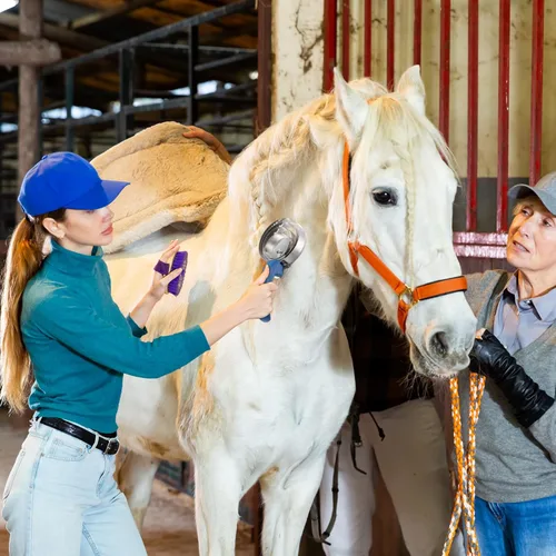 Vista 6 de Tanlade Paquete de 8 anillos de peine de curry de 4 anillos, cepillo de curry de metal, suministros de fiesta Derby, raspador reversible de acero