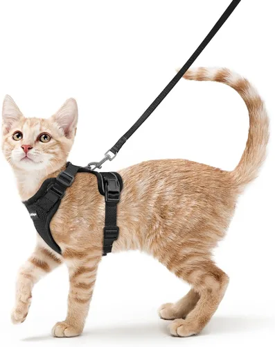 Vista 43 de rabbitgoo Arnés y correa para gatos para caminar, chaleco suave ajustable a prueba de escape para gatos, chaqueta de control fácil transpirable