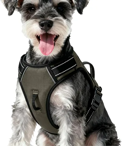 Vista 99 de Arnés para perro sin tirones, chaleco reflectante ajustable y acolchado para mascotas con asa de fácil control, fácil de llevar con nudo elegante
