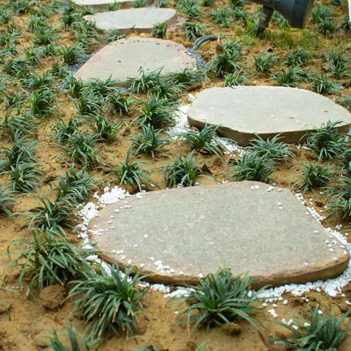 Vista 6 de 18 libras de rocas de grava de guijarros de cactus blanco, piedras de 1/4 pulgada para plantas de interior, rocas decorativas naturales
