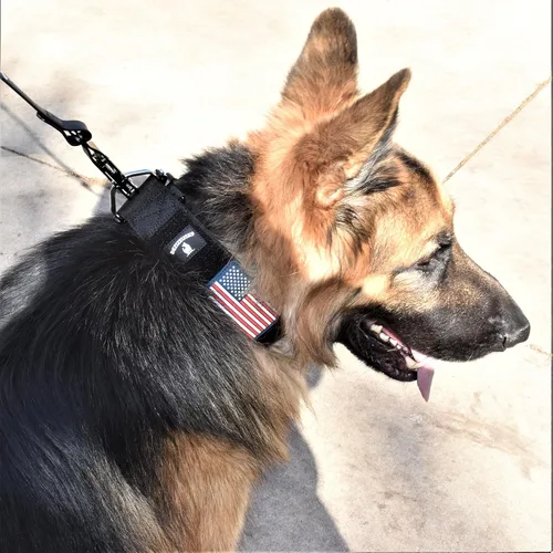 Vista 6 de Collar táctico para perro de 2 pulgadas de ancho, grueso, estilo militar resistente con hebilla de metal, ajustable para razas medianas y grandes