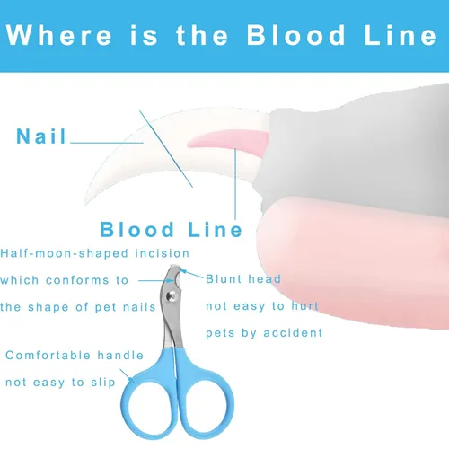 Vista 4 de Kit de aseo de 6 piezas con cepillo, removedor de pelo, cepillo de champú, peine de doble cara, cortaúñas y recortadora para conejos, hámsters