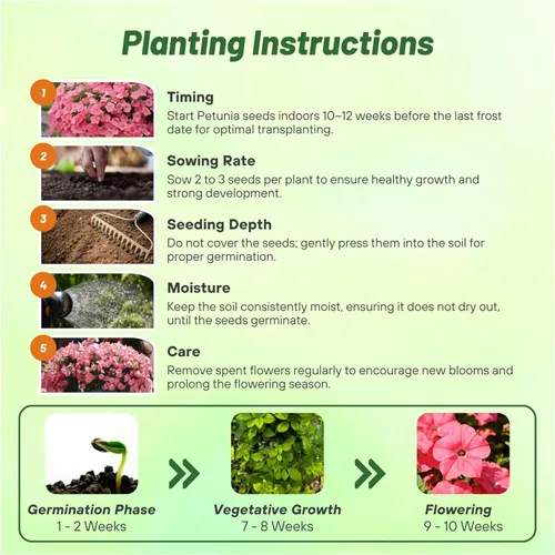 Vista 4 de Outsidepride Coral Reef Easy Wave - Semillas de petunia – 15 unidades. Semillas de flores anuales, compactas y extendidas para plantar flores