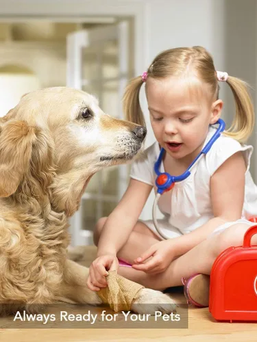 Vista 6 de Vendaje cohesivo de 2 pulgadas x 5 yardas, 6 rollos, cinta médica autoadhesiva, flexible, transpirable, gasa de primeros auxilios, ideal