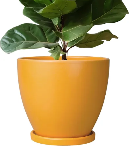 Vista 47 de Macetas de Cerámica EPFamily - Macetas de 6 Pulgadas para Plantas de Interior y Exterior, Maceta Redonda con Agujero de Drenaje y Platillo, Macetas