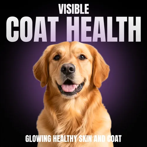 Vista 2 de CPN Coat Boost™ - Suplemento para la piel y el abrigo para perros - Omega 3 natural, mejillón de labios verdes, superalimentos orgánicos - Apoya