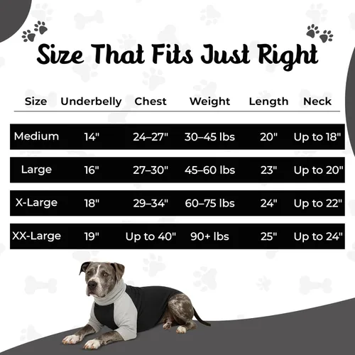 Vista 2 de Tooth & Honey Camisa para perros medianos – Algodón transpirable y elastano sin botones con cobertura completa debajo del vientre – Gris