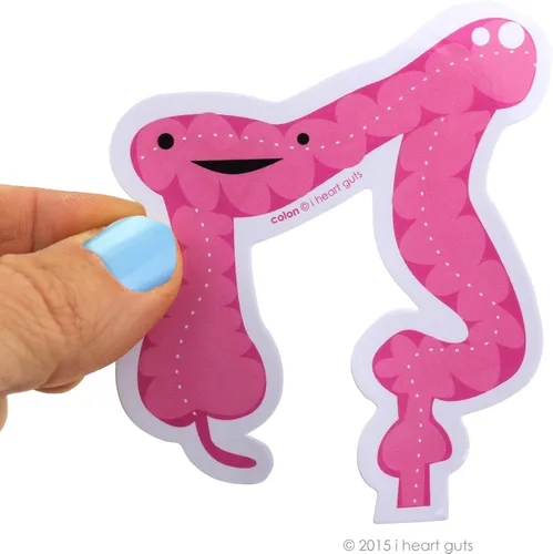 Vista 2 de I Heart Guts Pegatinas de pila de colon – 15 calcomanías de colon – Divertido paquete de calcomanías de vinilo de órgano digestivo para laptops