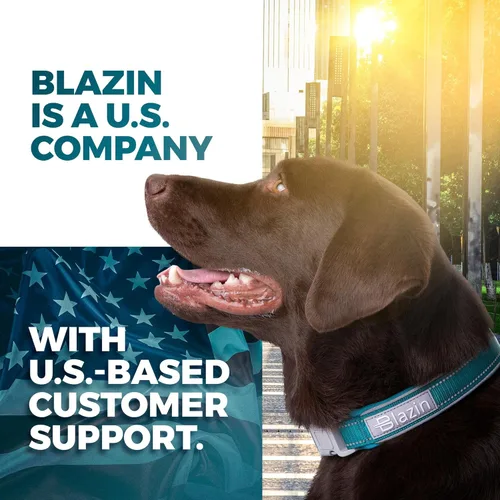 Vista 8 de BLAZIN Collar reflectante para perro con diseño de cierre de junta tórica para perros sensibles, acolchado de neopreno suave, collares para perros O