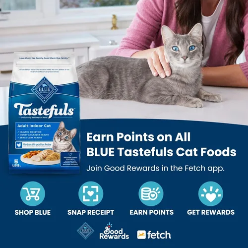 Vista 3 de Blue Buffalo Tastefuls Alimento para Gatitos con DHA - Comida Seca para Gatos Hecha en los Estados Unidos con Ingredientes Naturales, Receta