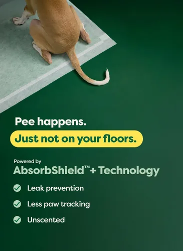 Vista 4 de Earth Rated Max Absorbency - Almohadillas de entrenamiento para cachorros que absorben 2 veces más rápido y 2 veces más, a prueba de fugas, control