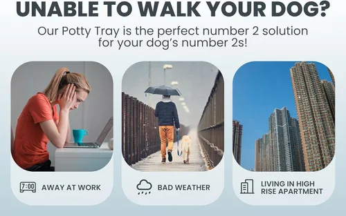 Vista 3 de Pet Awesome - Bandeja para orinales, 25 x 20 pulgadas, entrenamiento interior para hacer pipí para perros pequeños y medianos