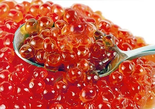 Vista 4 de Caviar Bazar - Salmon Caviar Chum Salmon Roe Keta Premium Ikura Bandeja de 22lbs 22 libras