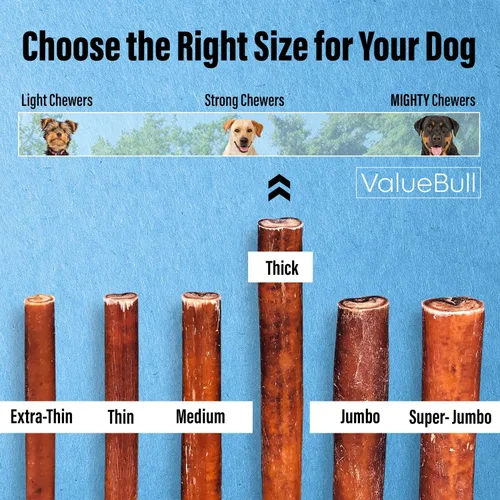 Vista 3 de ValueBull Bully Sticks para perros, gruesos de 12 pulgadas, 25 unidades, golosinas naturales para perros, 100% carne de res, un solo ingrediente