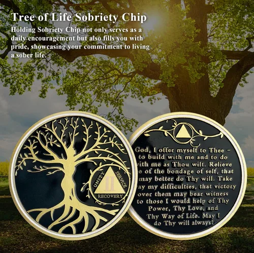 Vista 5 de Chip de sobriedad del árbol de la vida de 2 años, chips AA y medallones – Moneda de recuperación de sobriedad Regalos de sobriedad para celebrar