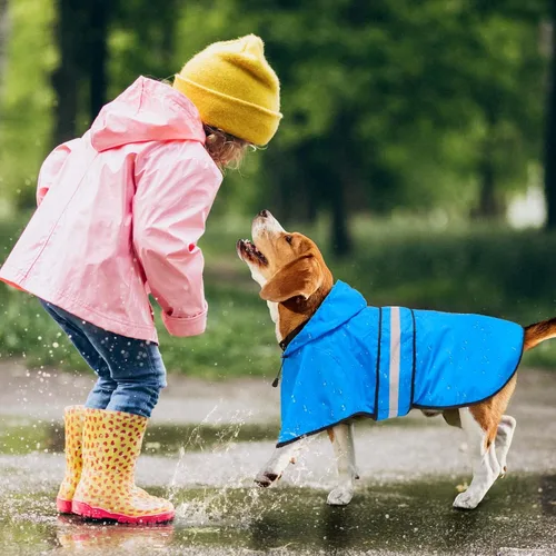Vista 5 de Impermeable ajustable impermeable para perros, chaqueta reflectante para perros con capucha, abrigo ligero para lluvia para perros pequeños