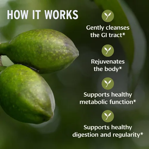 Vista 3 de Banyan Botanicals Tabletas Haritaki orgánicas – Limpieza natural de colon y apoyo digestivo – Regularidad suave y suplemento de desintoxicación