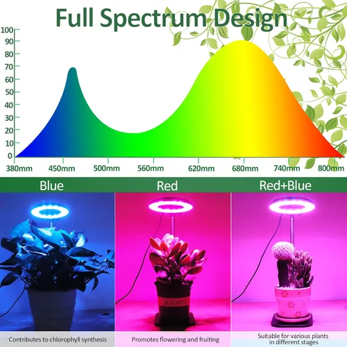 Vista 2 de AKRRYR Full Spectrum LED Plant Light for Indoor Plants, Grow lamp with Stable Base, Height Adjustable and 3 Switch Modes, 3912H Timer 10-Level