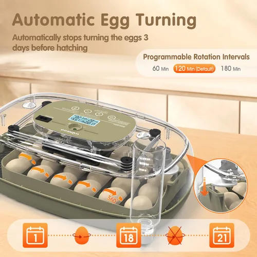 Vista 5 de Incubadoras de huevos para incubar huevos 24 huevos