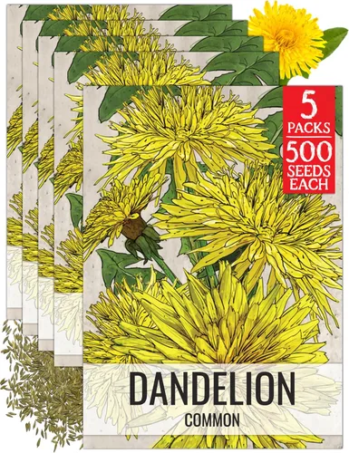 Vista 15 de Seed Needs Semillas de diente de león para plantar Taraxacum officinale - Herencia sin OMG y hierbas perennes no tratadas - Cultiva verduras
