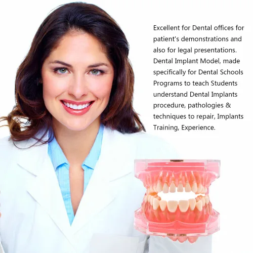 Vista 9 de Angzhili Dientes extraíbles dentales modelo de gel de sílice, modelo de dientes suaves y flexibles, ideal para laboratorio, herramienta