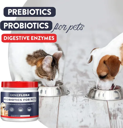 Vista 8 de Geneflora - Enzimas digestivas prebióticos y probióticos para mascotas para perros en polvo, gatos, conejos y perros para apoyo digestivo, 4.41 oz