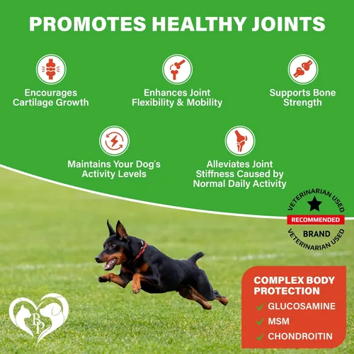 Vista 2 de Suplemento de cadera y articulaciones para perros y artritis para aliviar el dolor - Glucosamina condroitina MSM masticables suaves para perros