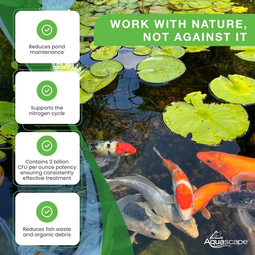 Vista 4 de Aquascape - Bacterias secas y beneficiosas para las características del estanque y del agua., Blanco