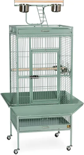 Productos en hierro forjado Prevue para mascotas, selecta jaula de aves, negro Hammertone 3151BLK, Verde salvia