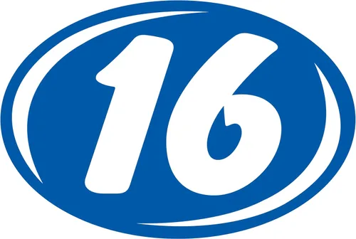 Vista 33 de Letrero de modelo Bold Year Black and Chartreuse, ovalado, adhesivo para parabrisas, duradero, impermeable, vinilo EZ-Line EZ226