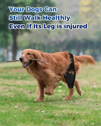 Vista 2 de Dog Knee Brace, Dog ACL Brace for Front Torn and Back Hind Rear Legs ACL Tear, Hip Knee Leg