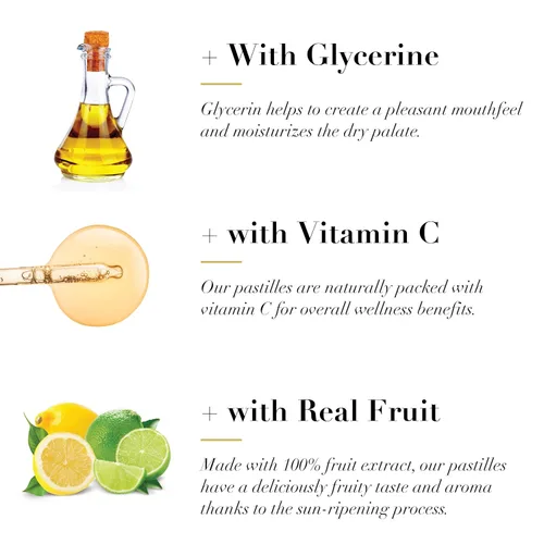 Vista 4 de Dr. Doolittle's Pastillas de frutas suaves sin azúcar para voz y garganta, sabor a limón y lima, bolsa de tamaño de viaje, paquete