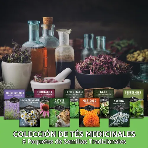 Vista 2 de Medicinal Tea Herb Seeds for Planting 9 Varieties - Survival Garden Seeds Cultiva tés de hierbas, remedios naturales - Kit de jardín de boticario