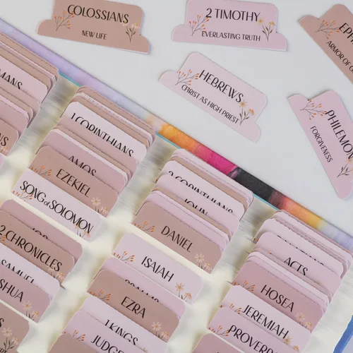 Pestañas para la Biblia laminadas DiverseBee con resúmenes de libros (impresión grande, fácil de leer), pestañas personalizadas para diario bíblico,