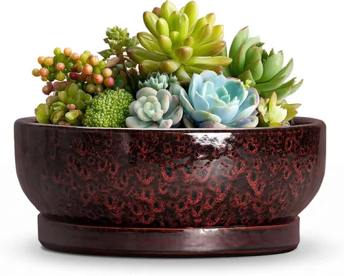 Vista 23 de Succulent Pots, 6 Inch Ceramic Bonsai Pots with Saucer, Blue