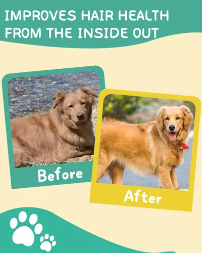 Vista 6 de Omega 3 para perros – Suplemento para la piel y el pelaje del perro con ácidos grasos EPA y DHA – Aceite de pescado masticable con aceite de salmón