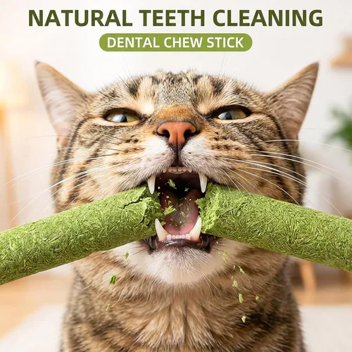 Vista 3 de Paquete de 6 Juguetes para Gatos Hierba Gatera Treat Juguete de Hierba Gatera con Silvervine para Juguetes de Gatitos de Interior Juguetes de Madera