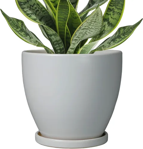 Vista 32 de Macetas de Cerámica EPFamily - Macetas de 6 Pulgadas para Plantas de Interior y Exterior, Maceta Redonda con Agujero de Drenaje y Platillo, Macetas