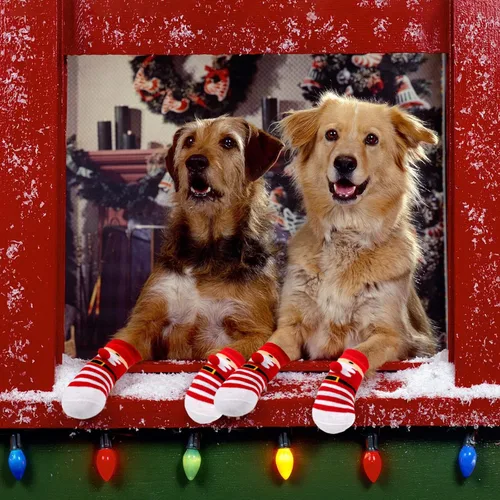 Vista 7 de Rypet 2 pares de calcetines de Navidad para perro, antideslizantes, con correas ajustables, control de tracción para interiores y suelos de madera