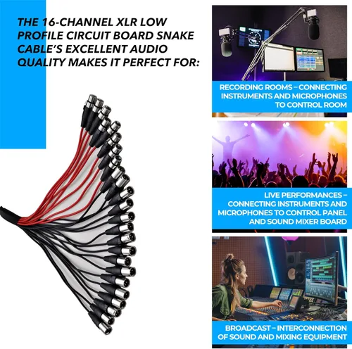 Vista 5 de Seismic Audio Altavoces de 16 canales de bajo perfil XLR Enviar placa de circuito Cable de serpiente, cable divisor XLR, 100 pies