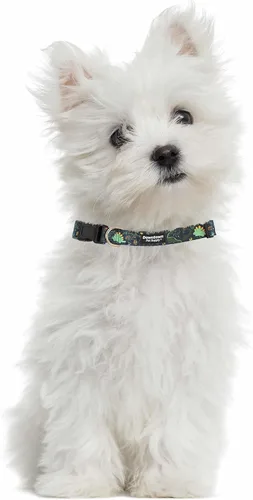 Vista 4 de Downtown Pet Supply - Collar de perro mejor, lindo y elegante - Collar de perro ligero ajustable con hebilla rápida y anillo en D - Apto para lavado