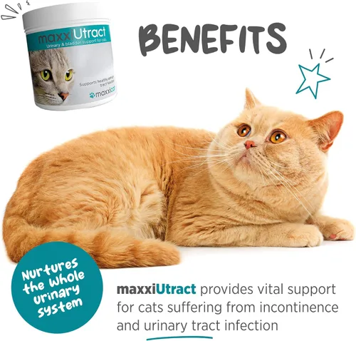 Vista 2 de maxxipaws maxxiUtract Soporte urinario y de vejiga - Suplemento en polvo para gatos, 3.2 onzas