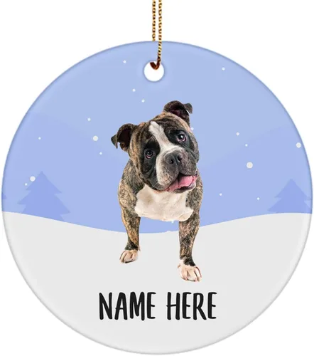 Personalized Name American Bully Brindle White Christmas Tree Ornaments Circle Ceramic, Custom Text Gifts for Dog Mom
