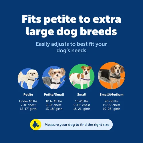 Vista 2 de PetSafe Easy Walk - Arnés para perro, sin tirones, gris carbón Carbón/Negro