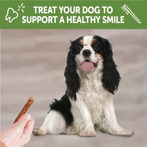 Vista 6 de WHIMZEES Golosinas dentales naturales de larga duración para perros, sin granos, salchicha vegetariana, pequeña, bolsa de 28