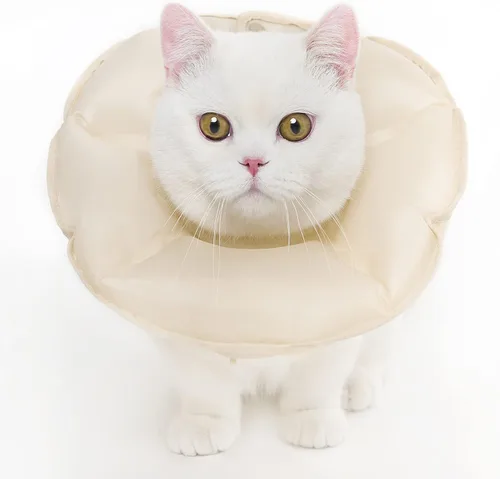 MayMaw Collar inflable para gatos con cono E para gatitos y perros pequeños, suave y plegable, collar de recuperación para gatos para que dejen de