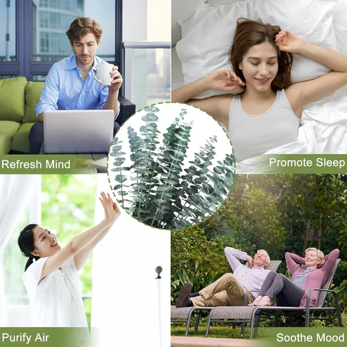 Vista 4 de 16 ramas de eucalipto secas conservadas, planta de eucalipto fresco natural real de 17 pulgadas para ducha, ramo de eucalipto real para relleno